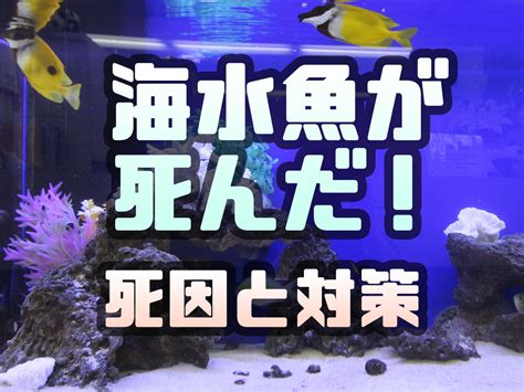 魚死掉埋葬|土葬？水葬？熱帯魚が死んでしまった時の処理方法を。